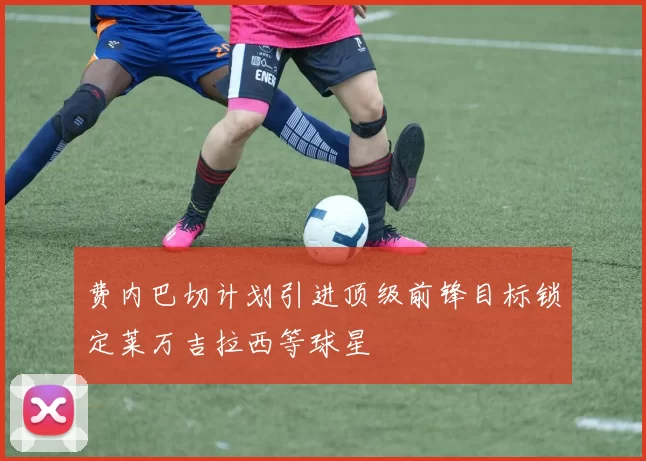 费内巴切计划引进顶级前锋目标锁定莱万吉拉西等球星