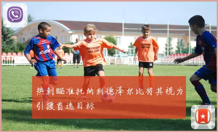 热刺瞄准托纳利德泽尔比将其视为引援首选目标