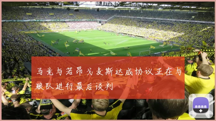 马竞与若昂戈麦斯达成协议正在与狼队进行最后谈判